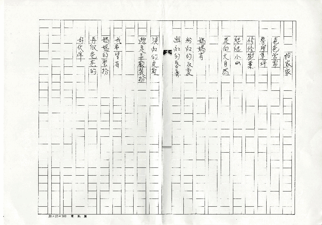 扮家家