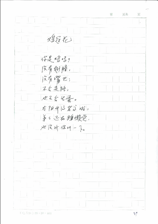 雞冠花，第1張圖片