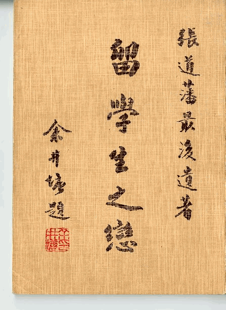 留學生之戀，第1張圖片